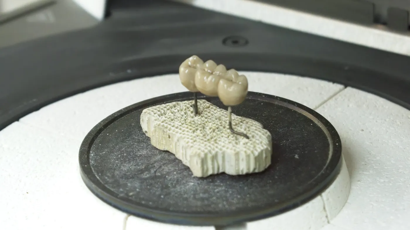 DSC 0775зуботех