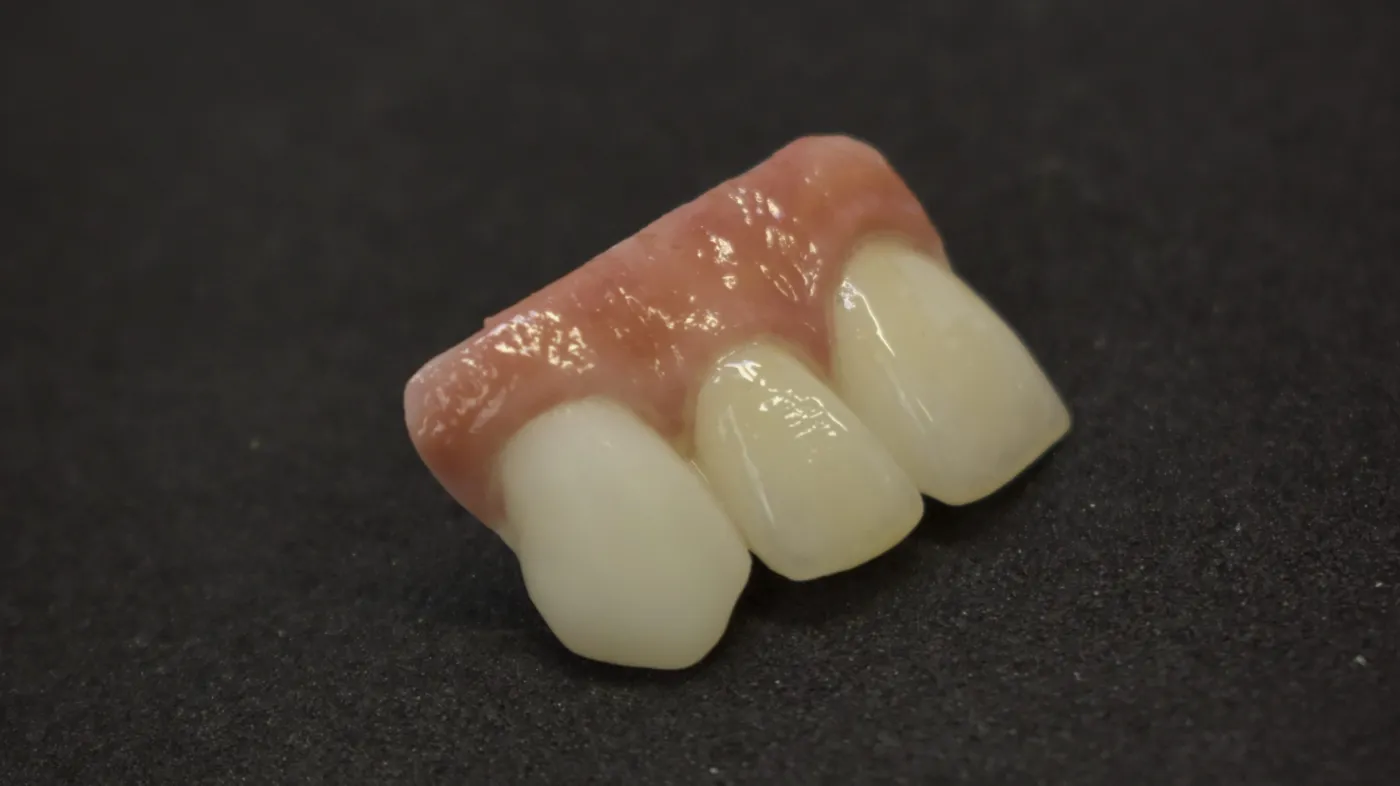 DSC 0328 dental 24 01