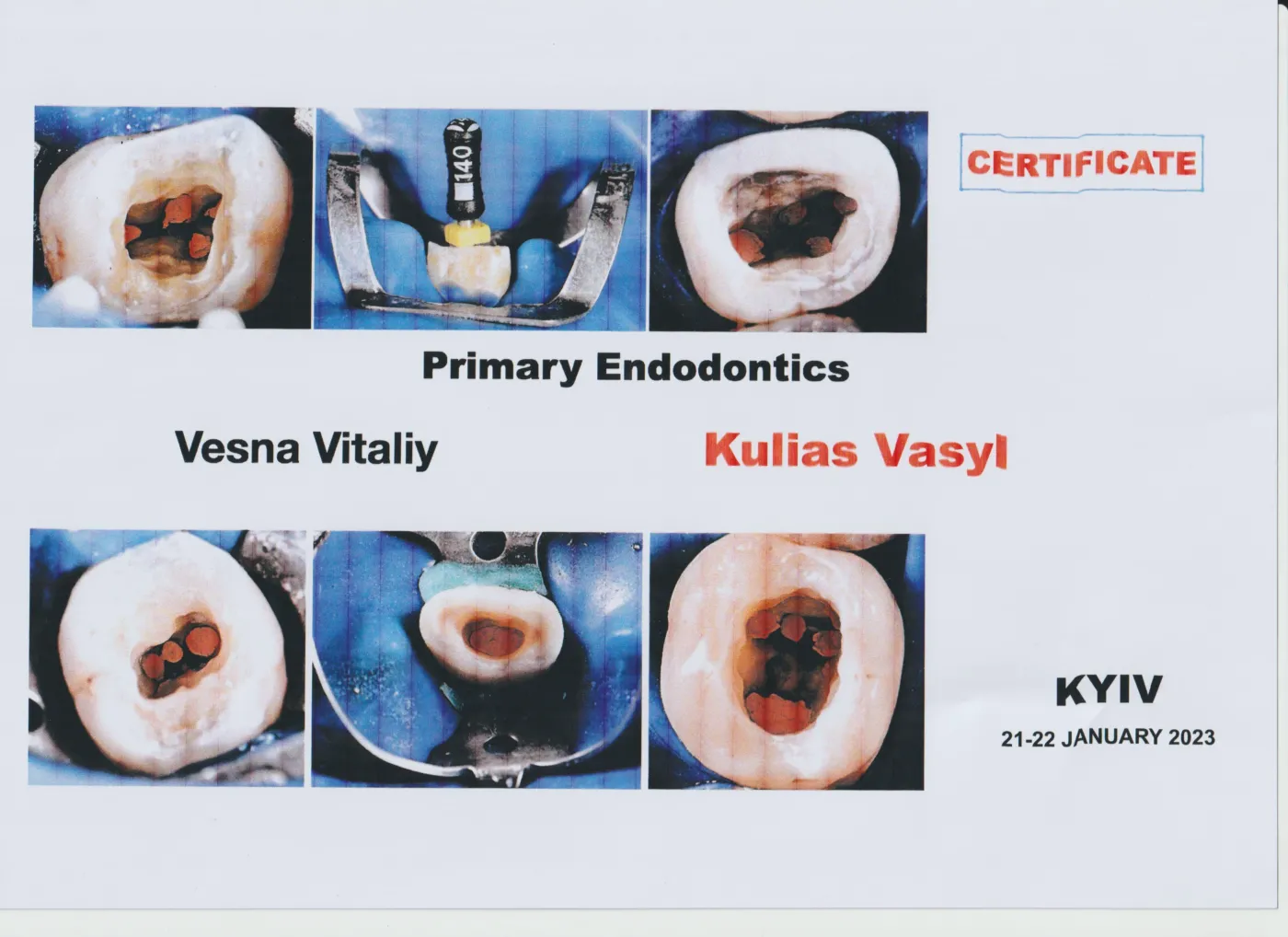 Kulyas vasyl anatoliiovych 4